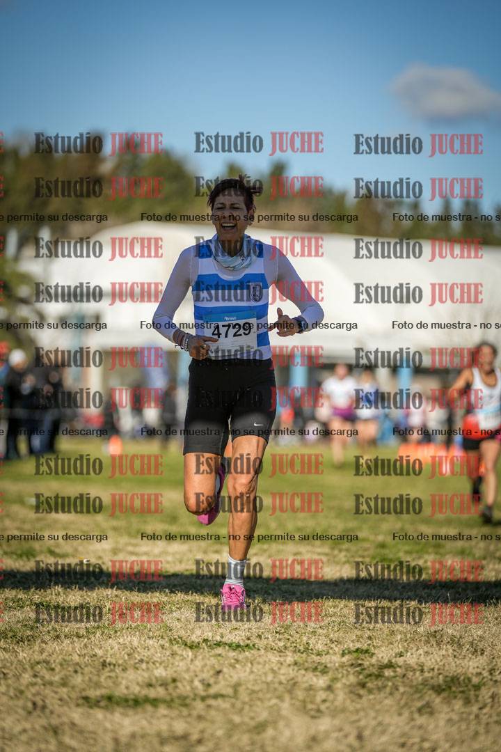 Fotos de las llegadas