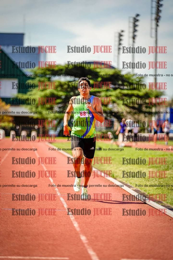 Fotos de los 800 m llanos de varones