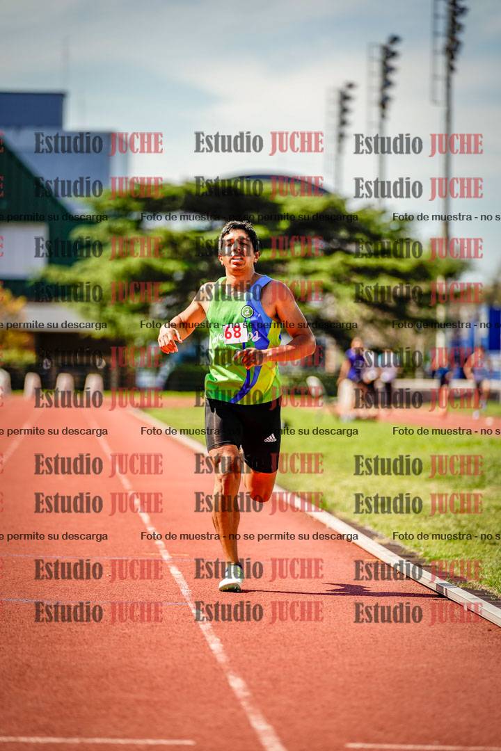 Fotos de los 800 m llanos de varones