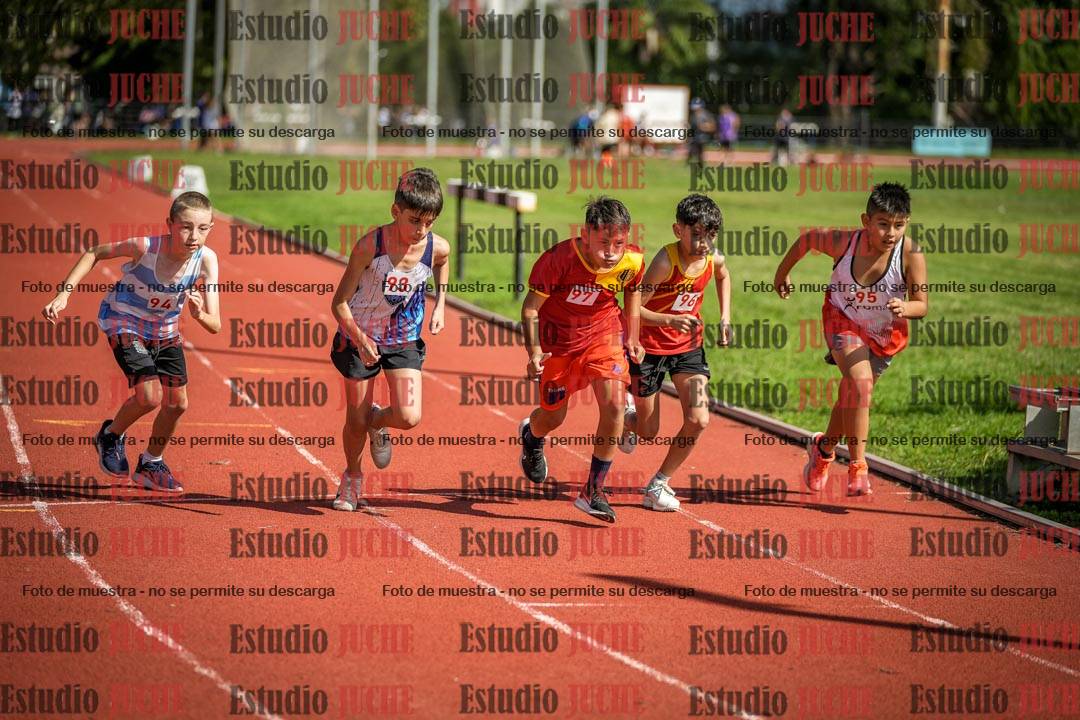 Fotos de los 1000 m llanos de varones