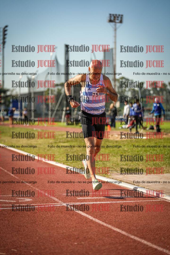 Fotos de los 800 m llanos de varones