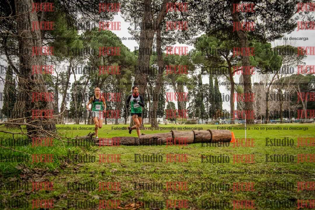 Fotos en el circuito