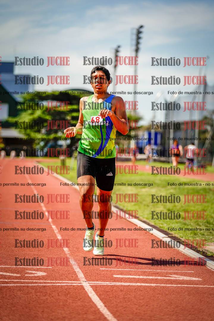 Fotos de los 800 m llanos de varones
