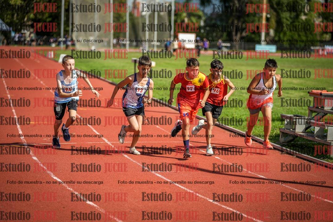 Fotos de los 1000 m llanos de varones