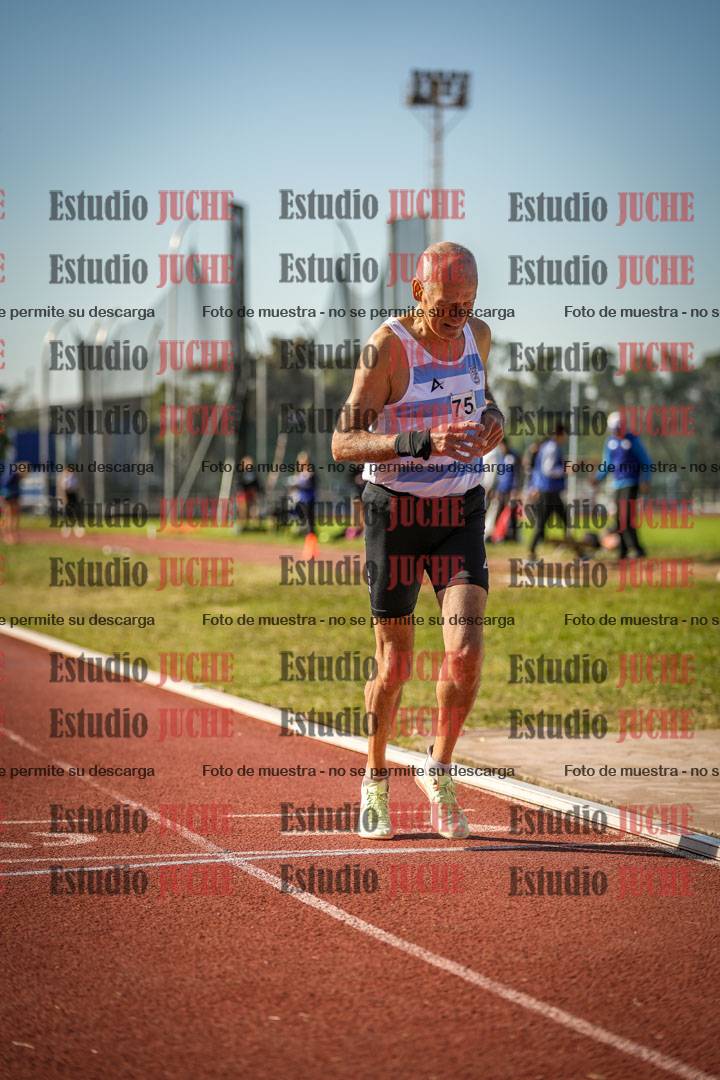 Fotos de los 800 m llanos de varones
