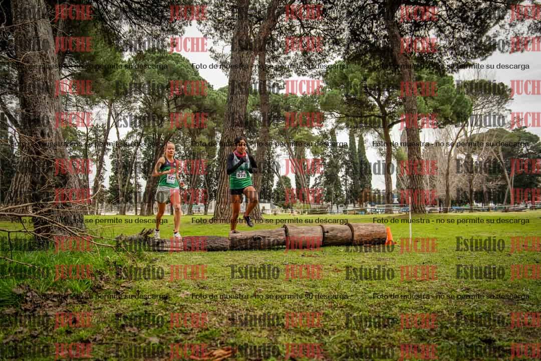 Fotos en el circuito