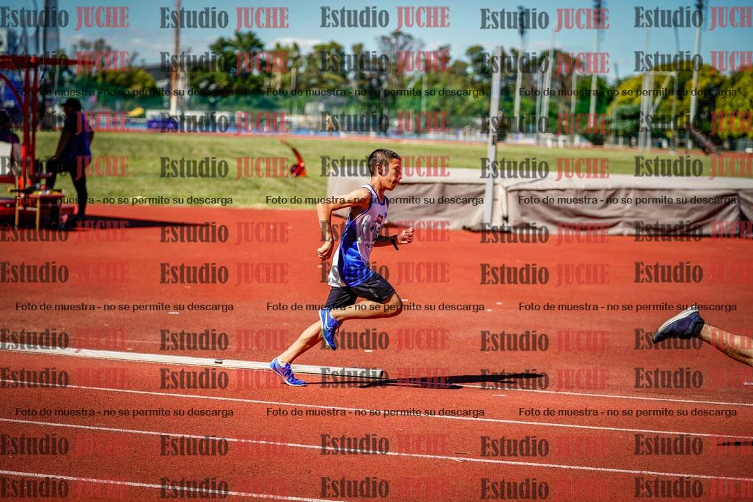 Fotos de los 800 m llanos de varones