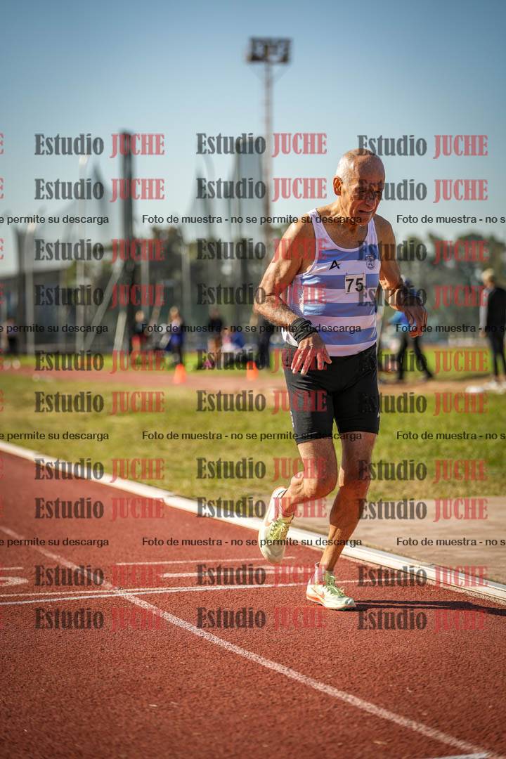 Fotos de los 800 m llanos de varones