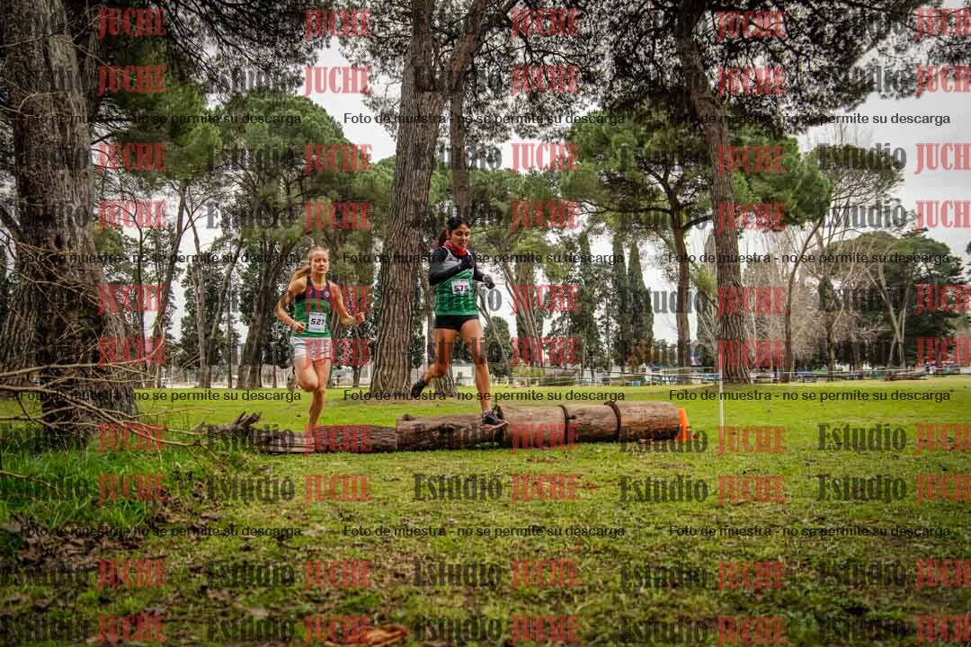 Fotos en el circuito