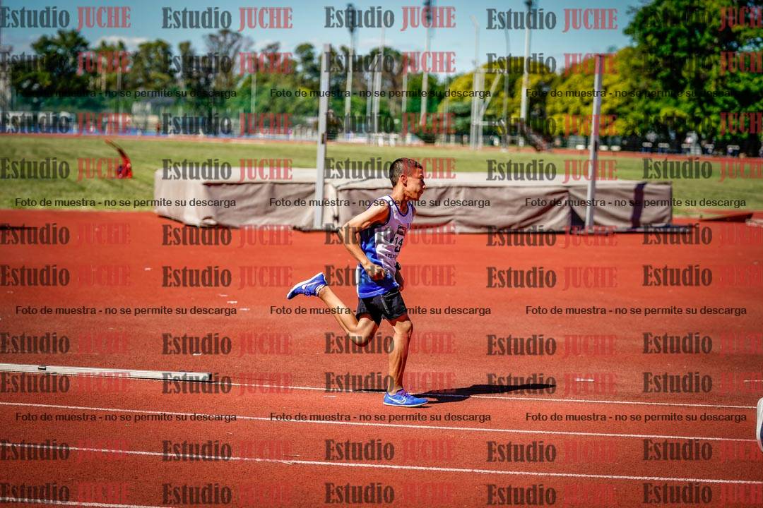 Fotos de los 800 m llanos de varones