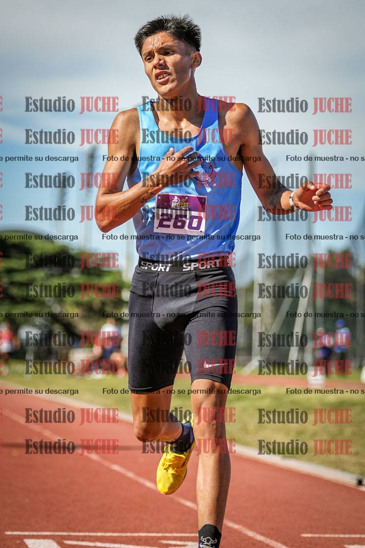 Fotos de los 5000 m llanos de varones