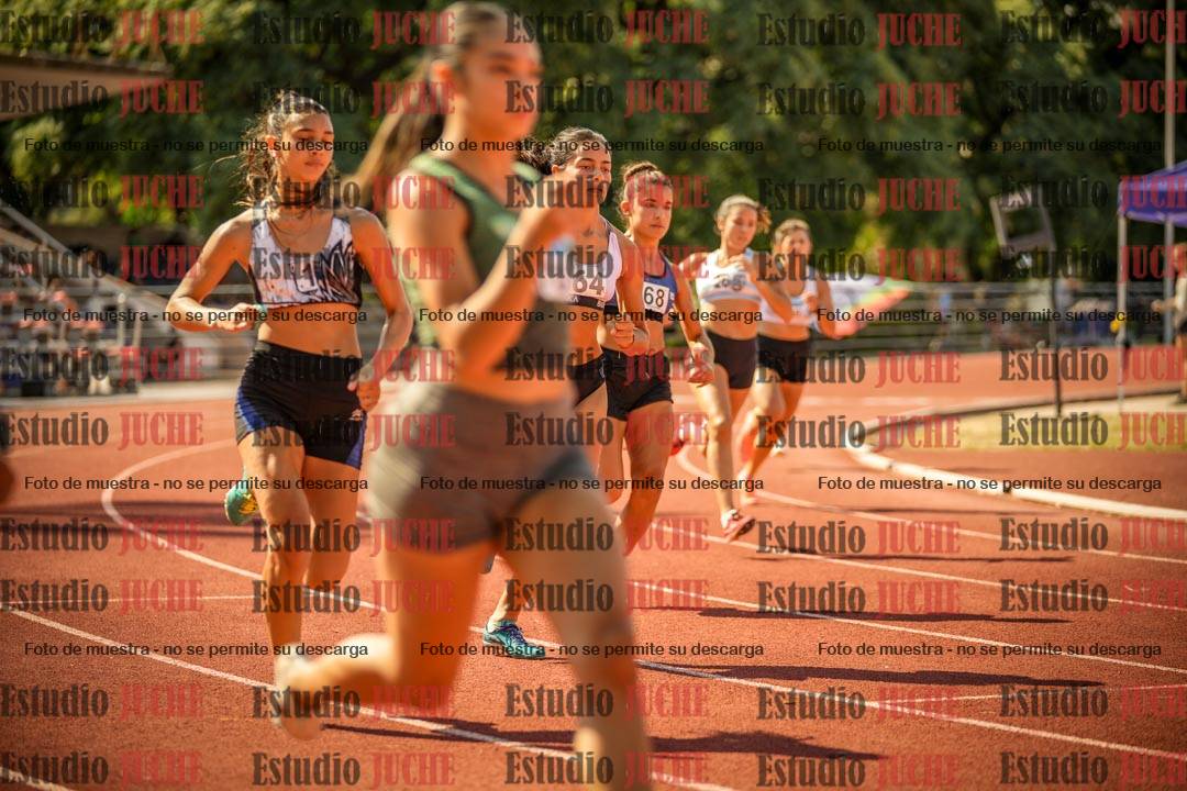 Fotos de los 800 m llanos de mujeres