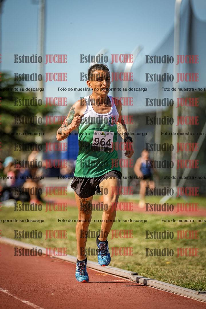 Fotos de los 5000 m llanos de varones