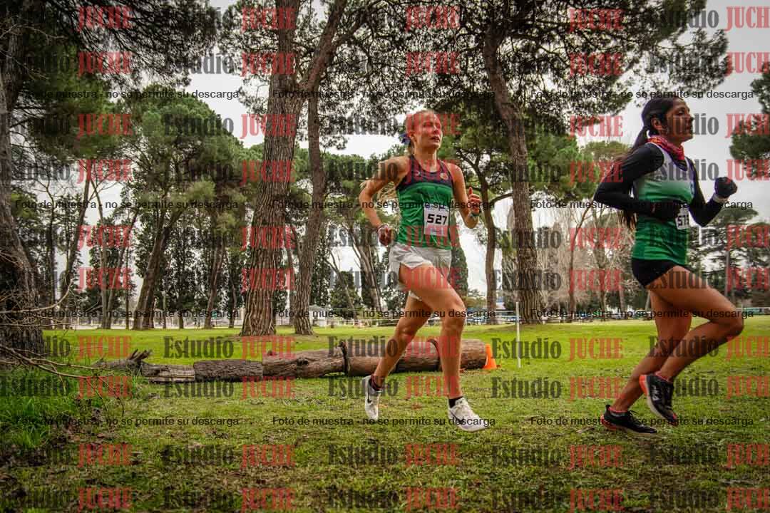 Fotos en el circuito