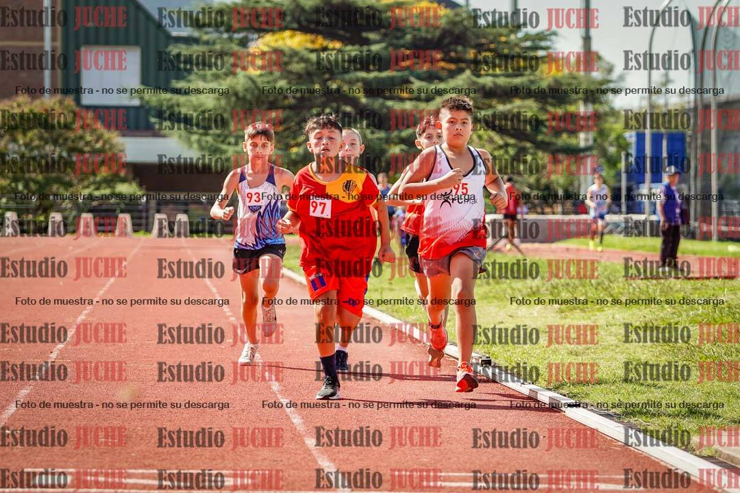 Fotos de los 1000 m llanos de varones