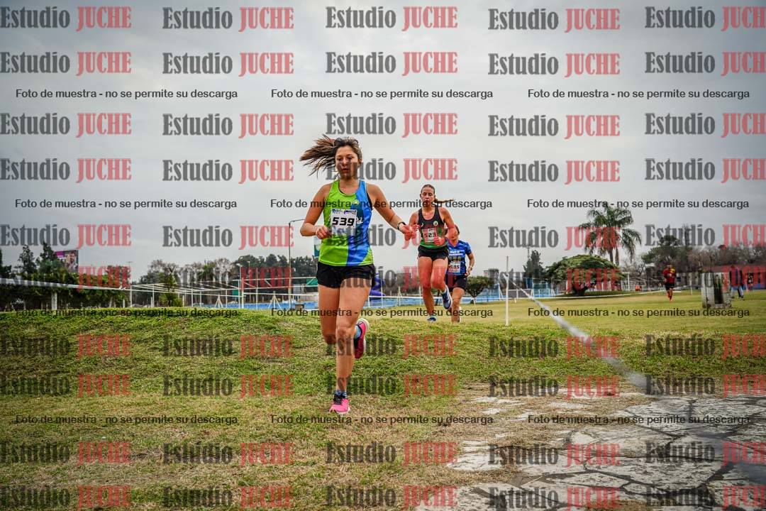 Fotos en el circuito