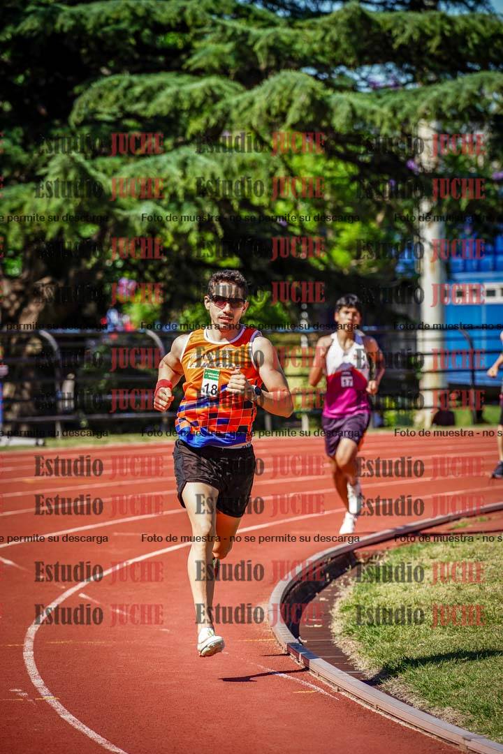 Fotos de los 800 m llanos de varones