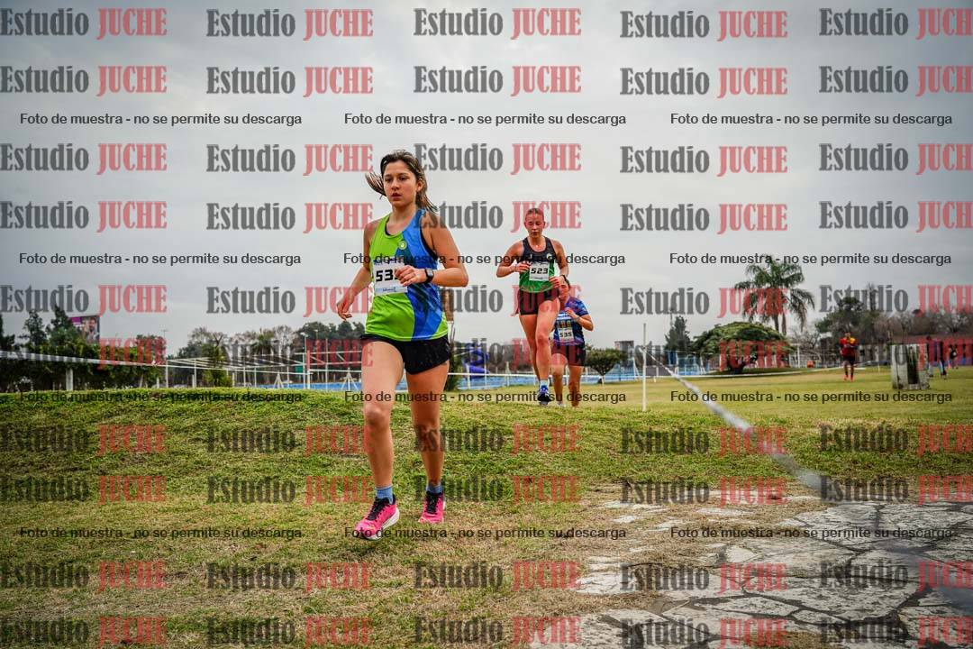Fotos en el circuito