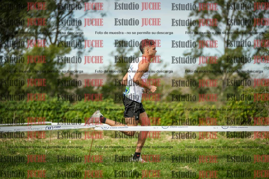 Fotos en el circuito