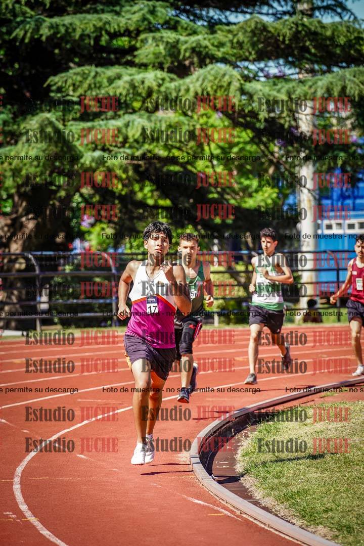 Fotos de los 800 m llanos de varones