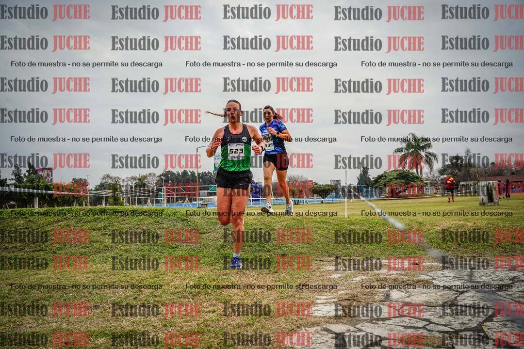 Fotos en el circuito