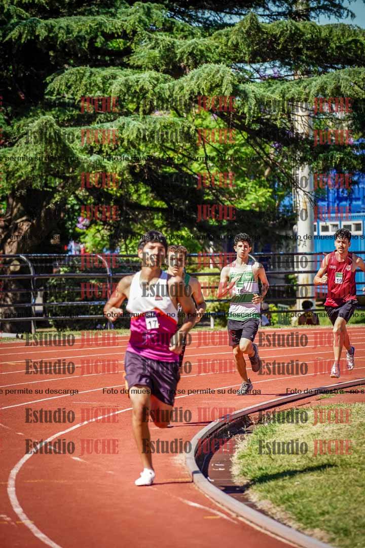 Fotos de los 800 m llanos de varones
