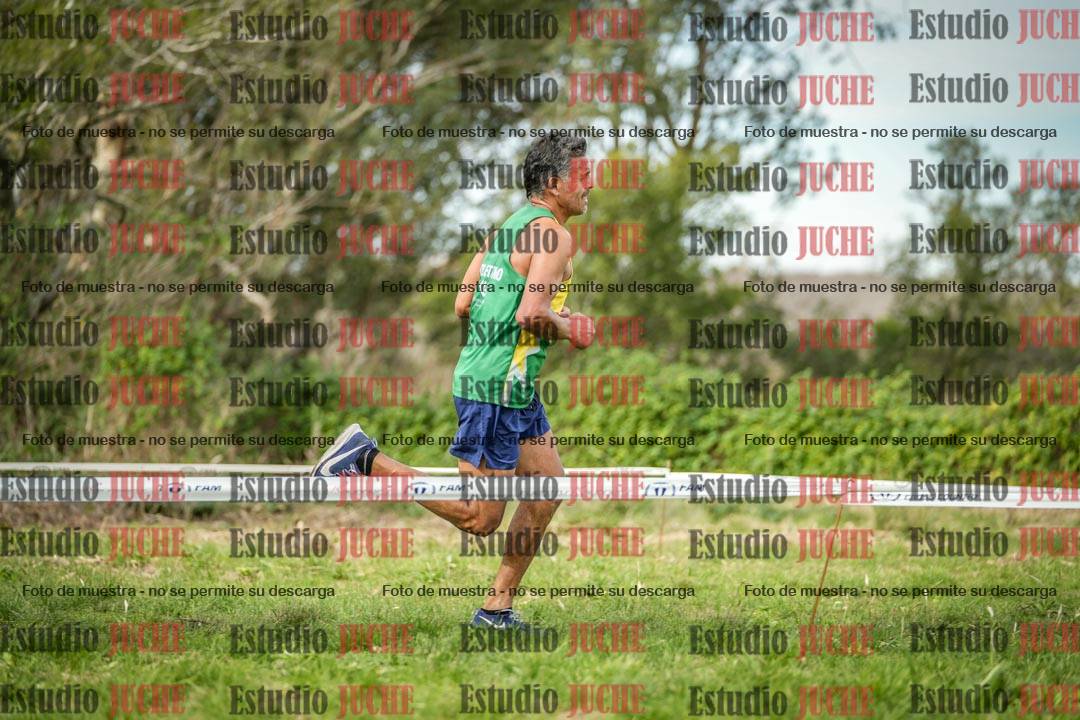 Fotos en el circuito