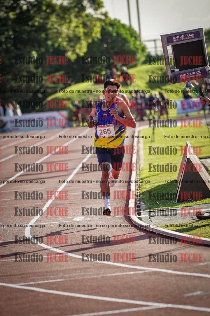 Fotos de los 5000 m de varones