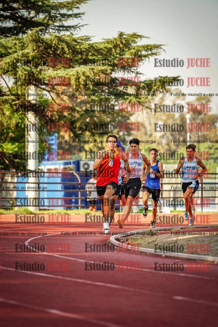Fotos de los 800 m llanos de varones