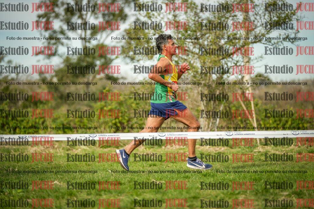 Fotos en el circuito