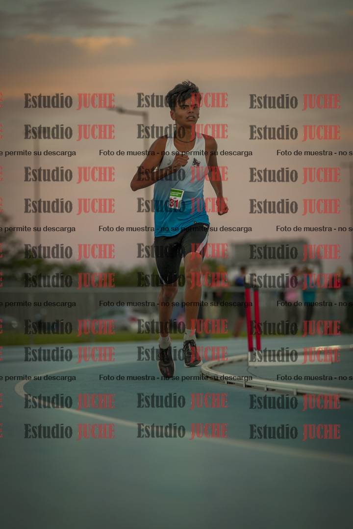 Fotos de los 3000 m llanos de varones