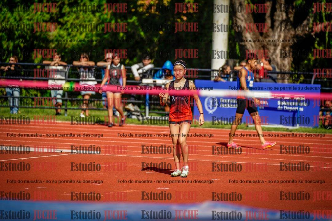 Fotos del salto en alto de mujeres