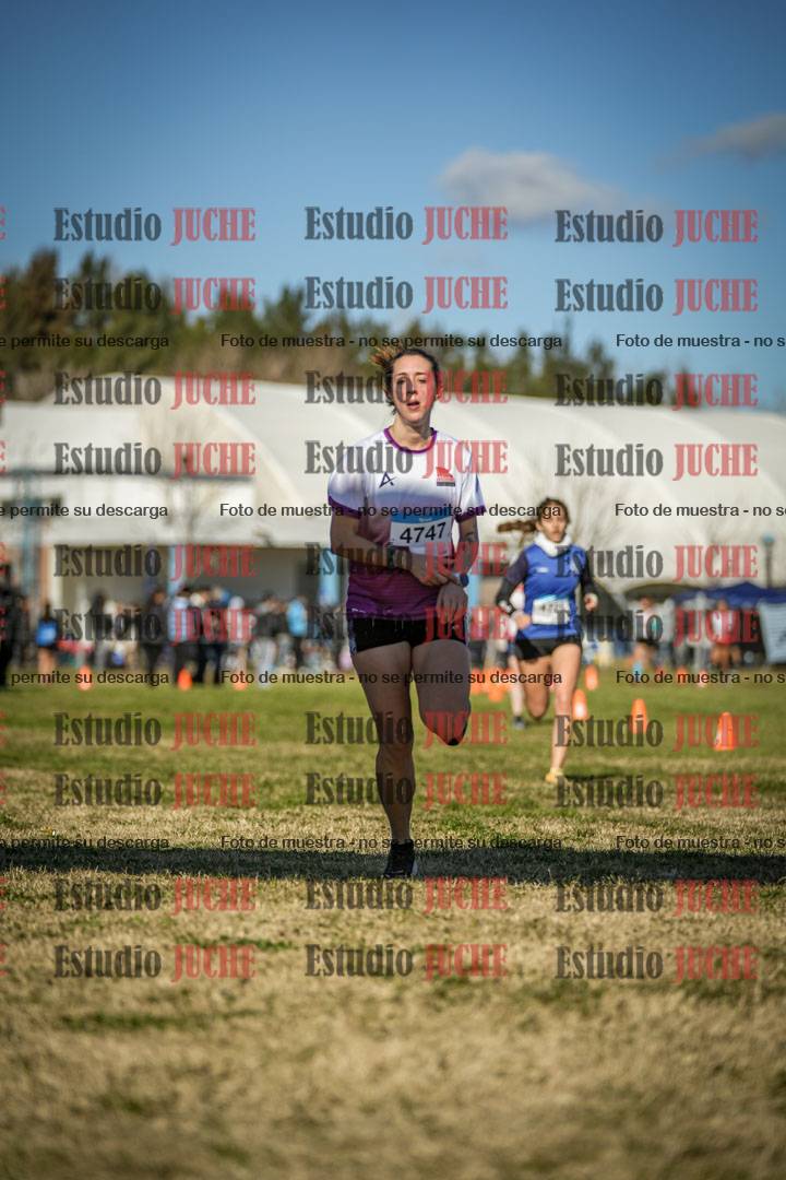 Fotos de las llegadas