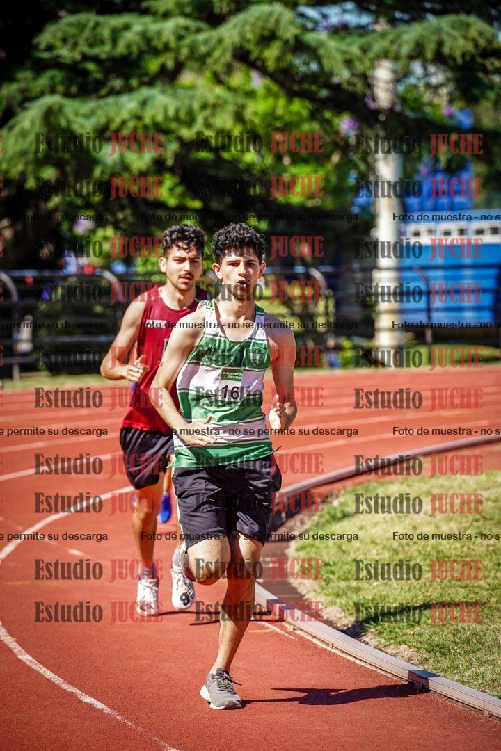 Fotos de los 800 m llanos de varones