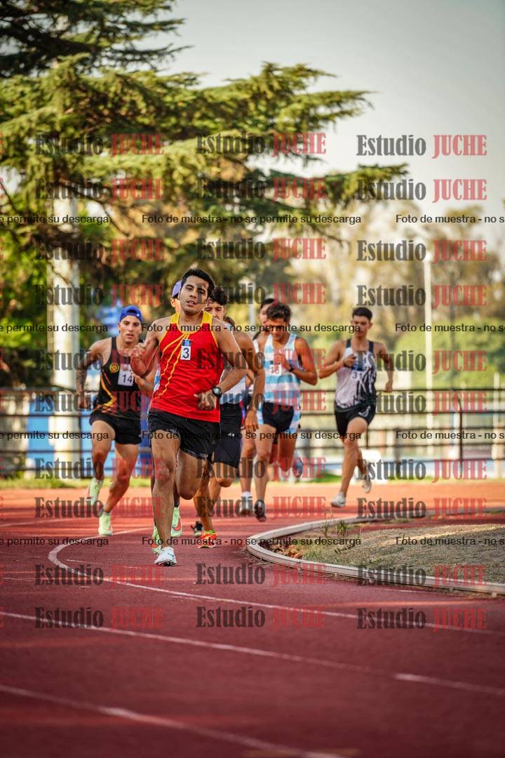 Fotos de los 800 m llanos de varones