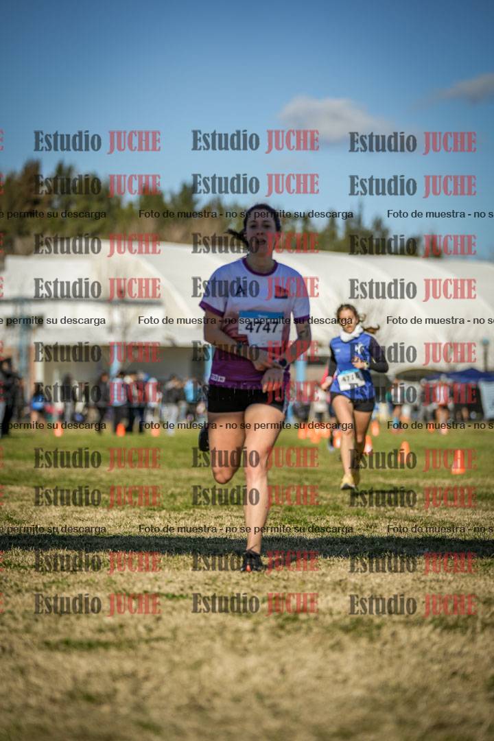Fotos de las llegadas