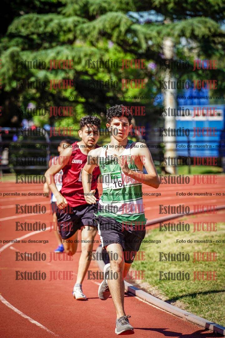 Fotos de los 800 m llanos de varones
