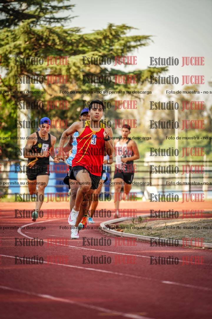 Fotos de los 800 m llanos de varones