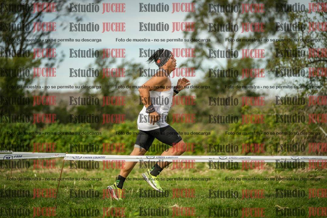 Fotos en el circuito