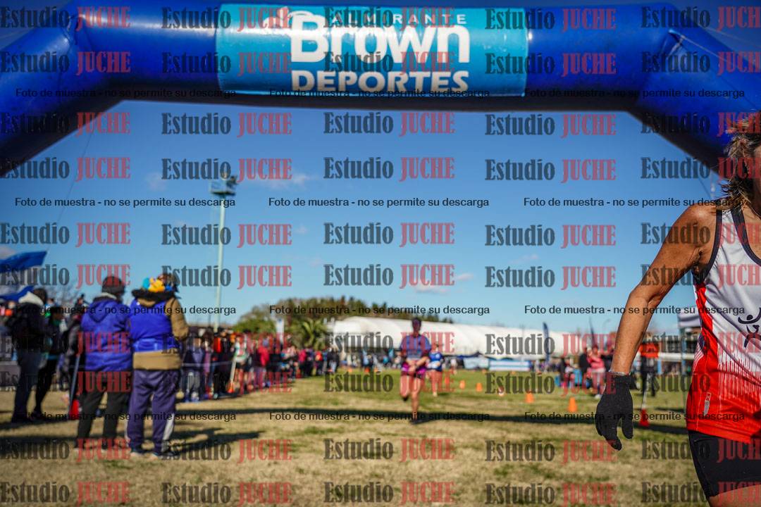 Fotos de las llegadas