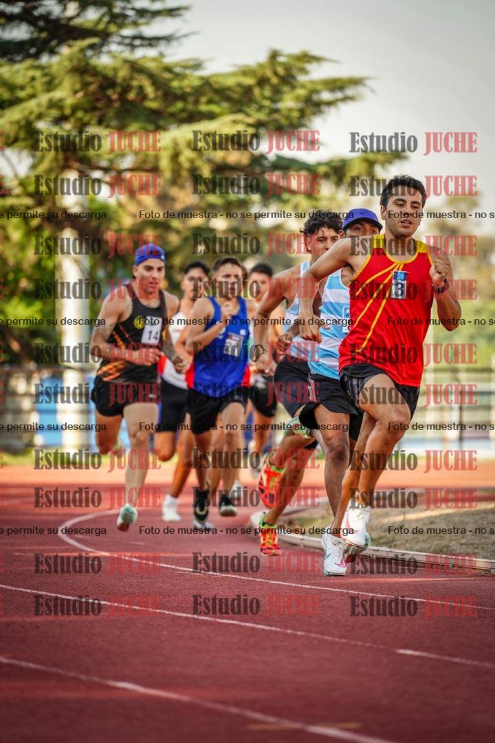 Fotos de los 800 m llanos de varones