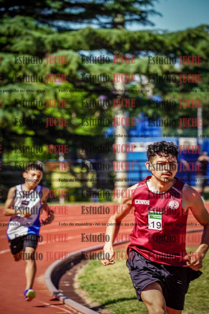 Fotos de los 800 m llanos de varones
