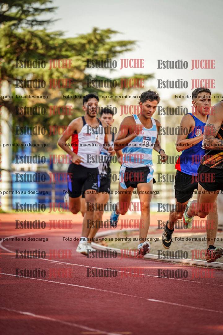 Fotos de los 800 m llanos de varones