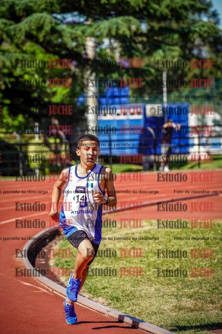 Fotos de los 800 m llanos de varones