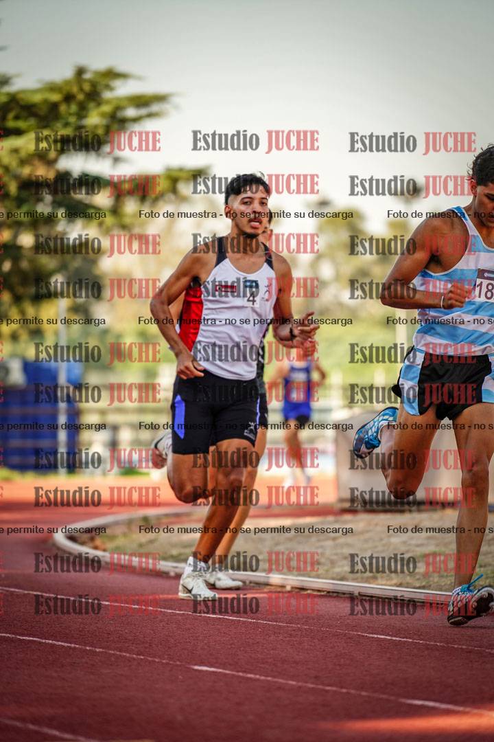 Fotos de los 800 m llanos de varones