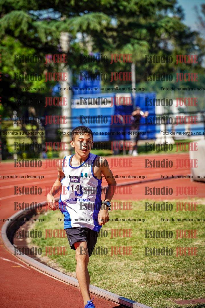 Fotos de los 800 m llanos de varones