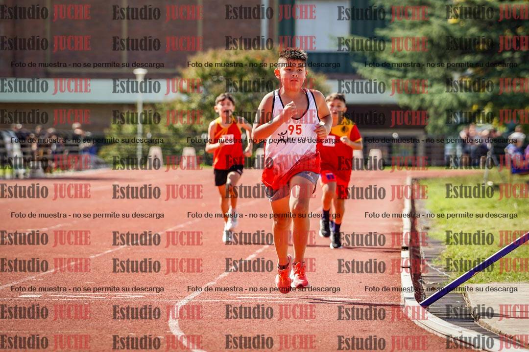 Fotos de los 1000 m llanos de varones