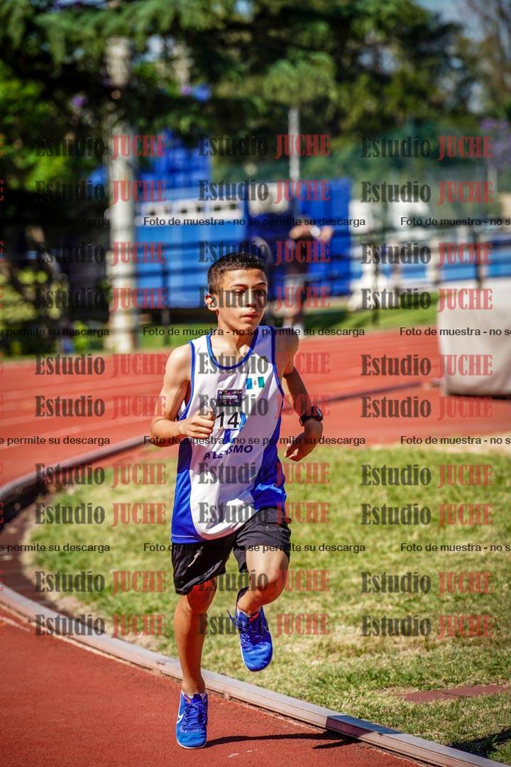 Fotos de los 800 m llanos de varones