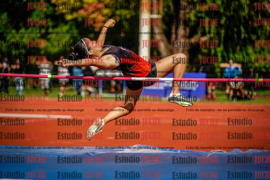 Fotos del salto en alto de mujeres