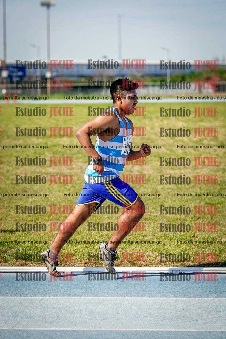 Fotos de los 3000 m llanos de varones